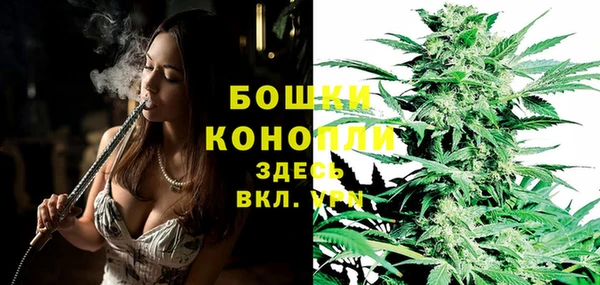 гидропоника Абаза
