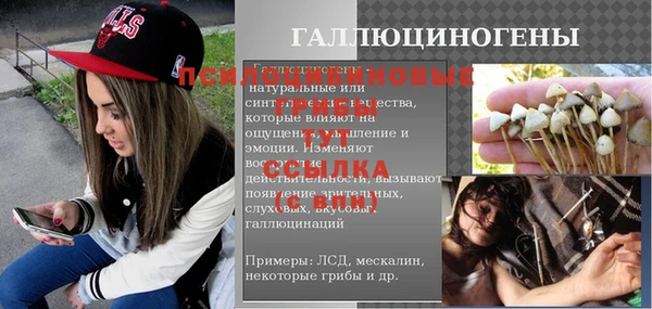 гидропоника Абаза