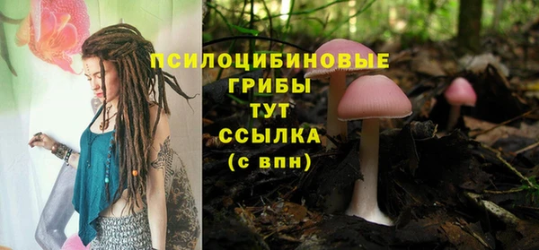 гидропоника Абаза